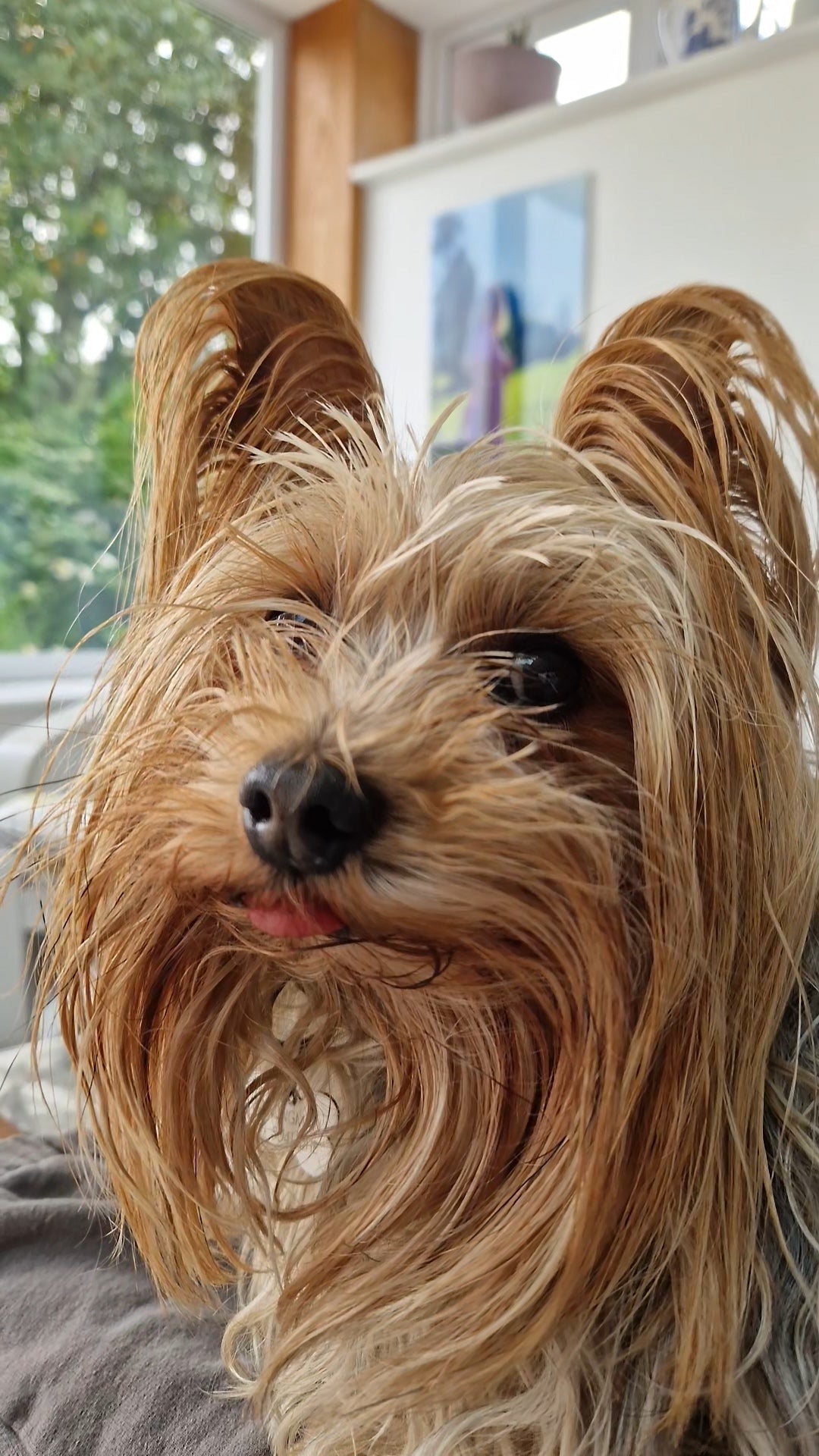 Split ends... Do you have them? Can they be avoided?