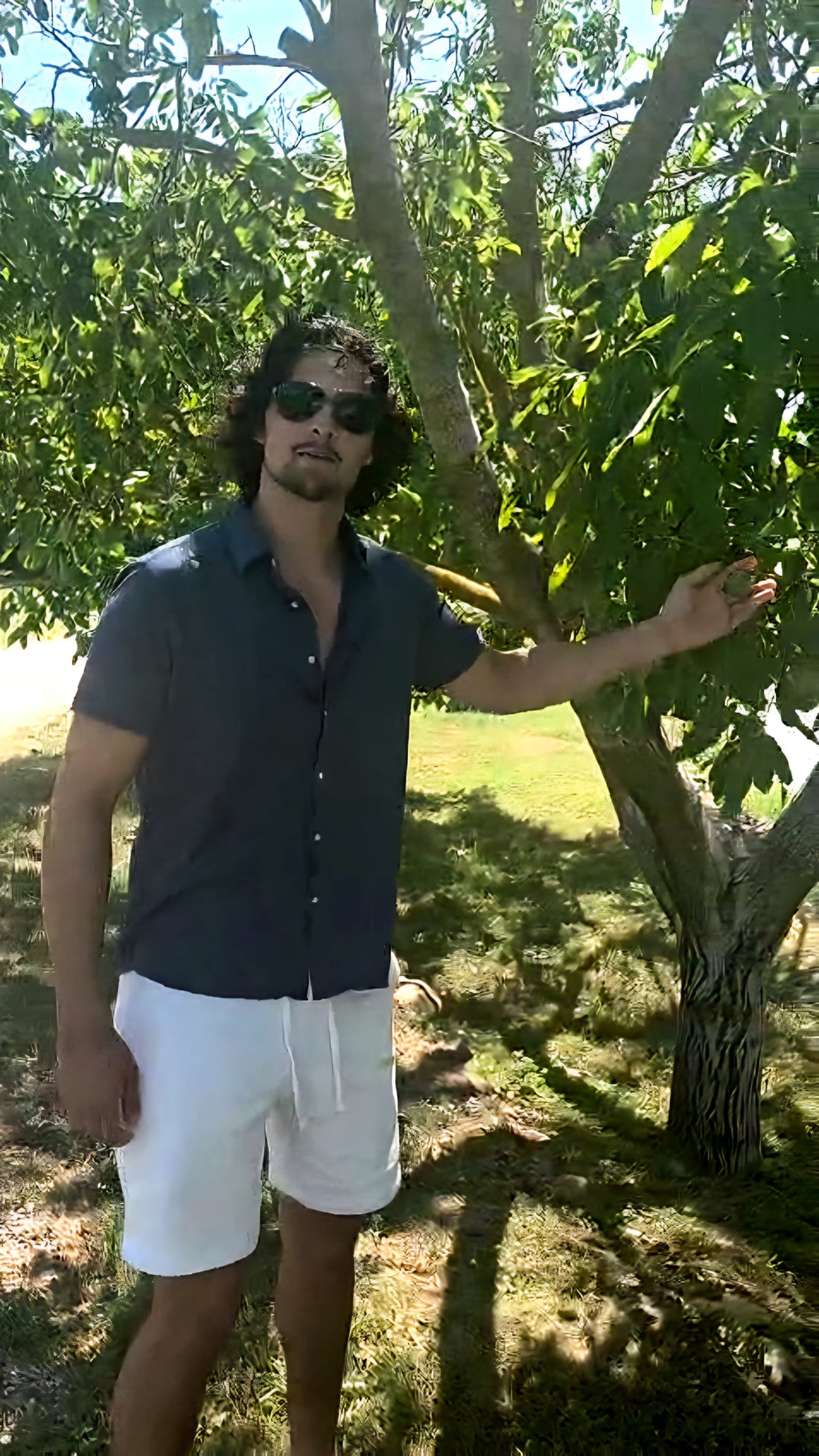 Organic vs Natural: What's the difference?